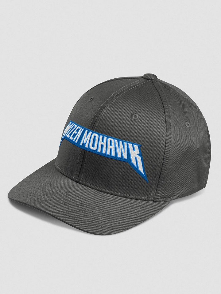 Fitted Hat (Dark Grey) product image (2)