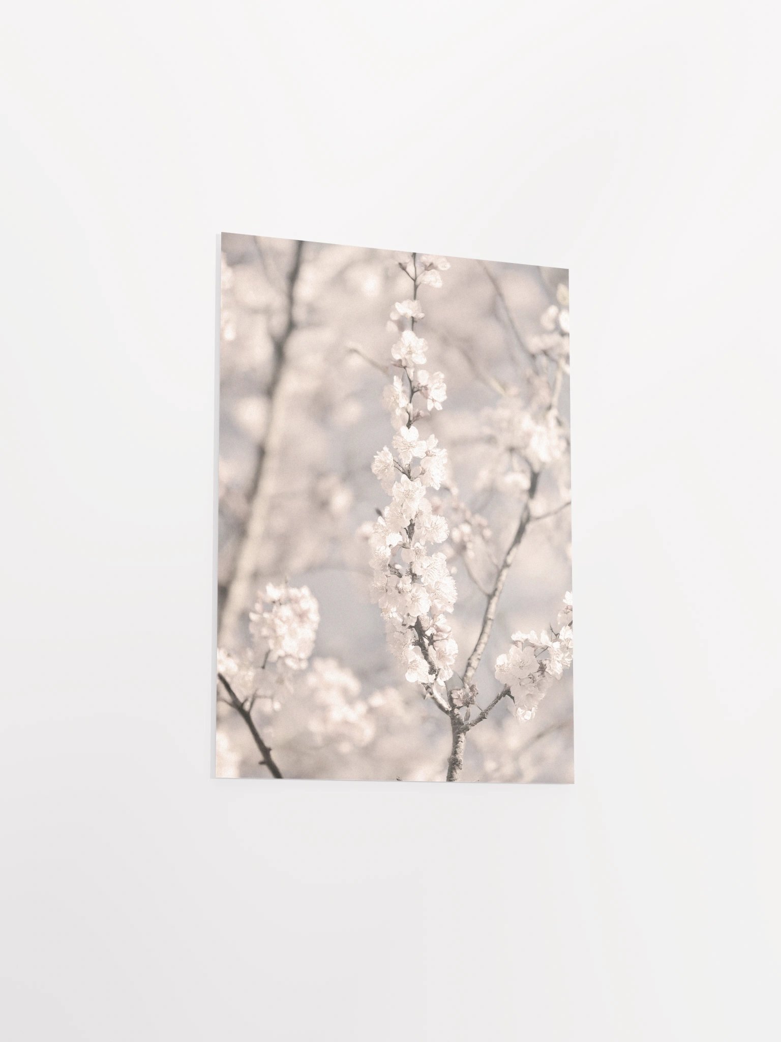 Sakura - Enhanced Matte Paper Poster product image (10)