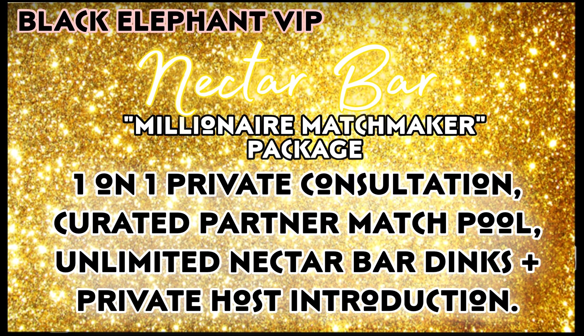 Millionaire Matchmaker VIP product image (2)