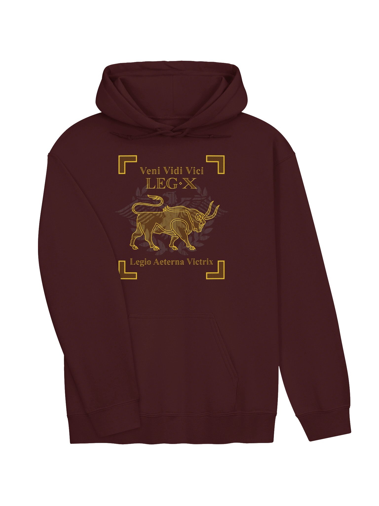 Legion X - veni vidi vici - Hoodie product image (1)