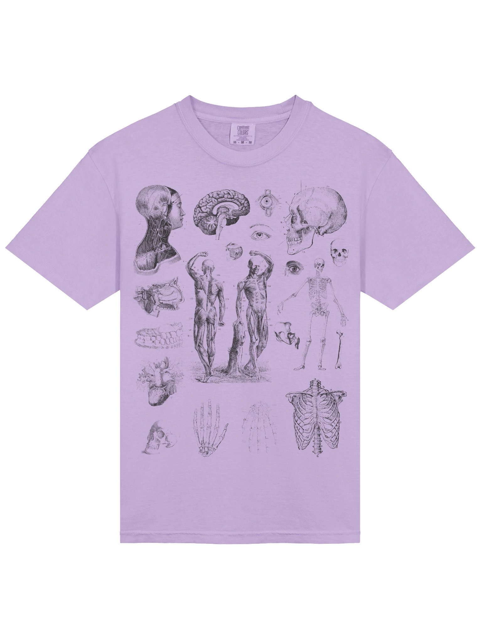 Dark Academia Anatomy Shirt – Vintage Human Anatomy Sketch Graphic Tee product image (35)