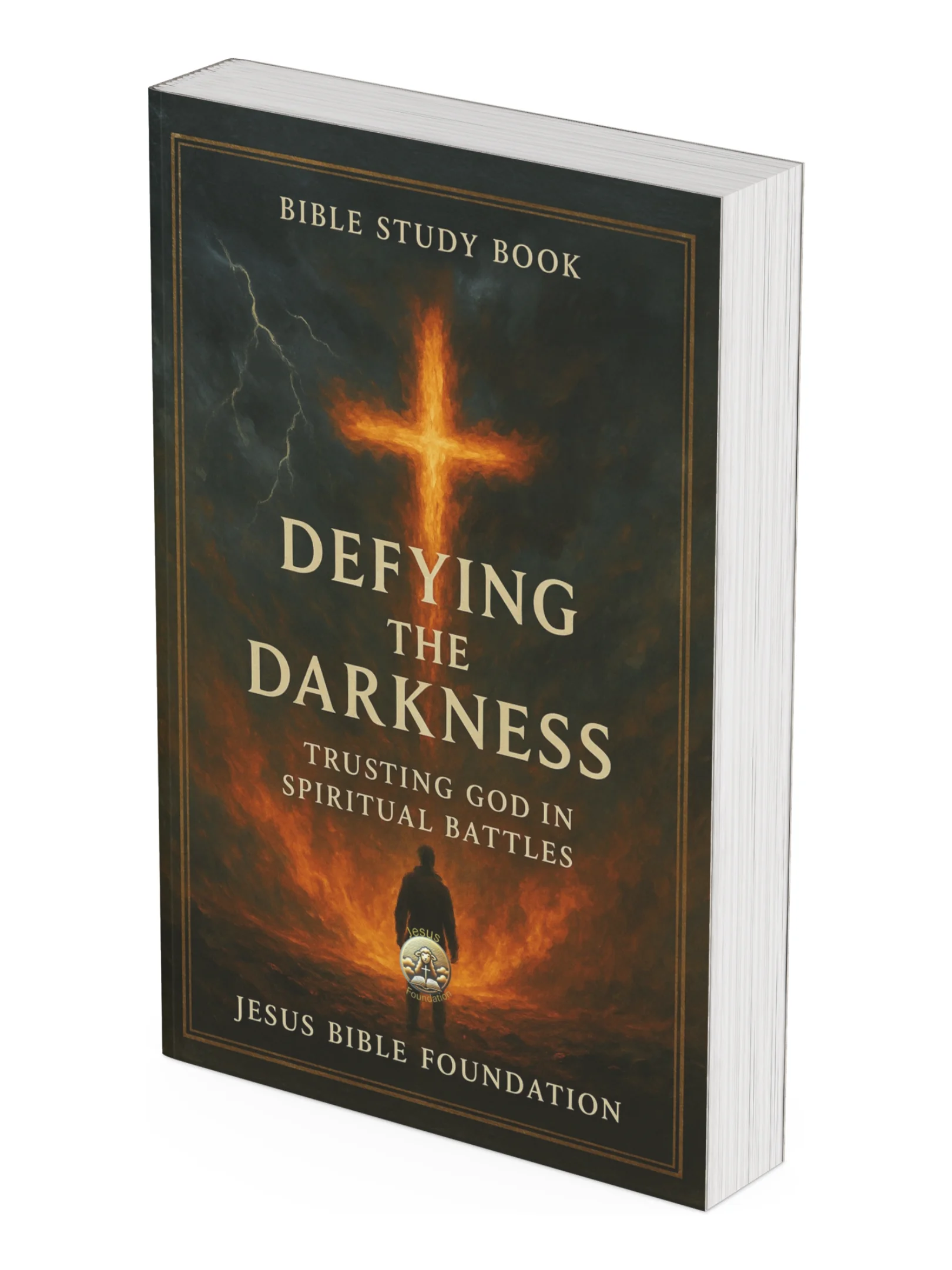 Bible Study Book Defying the Darkness: Trusting God in Spiritual Battles product image (1)