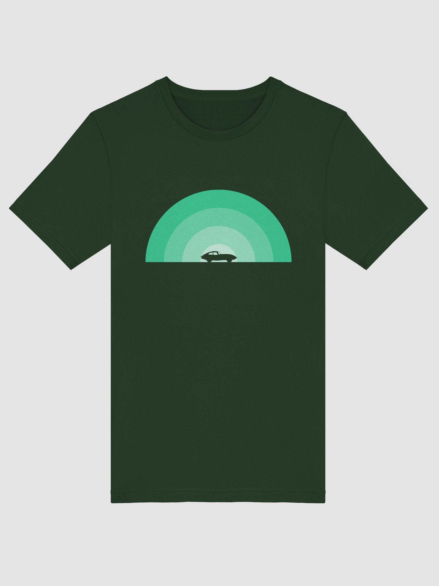 Jaguar E-Type Monochrome Rainbow (Green) product image (5)