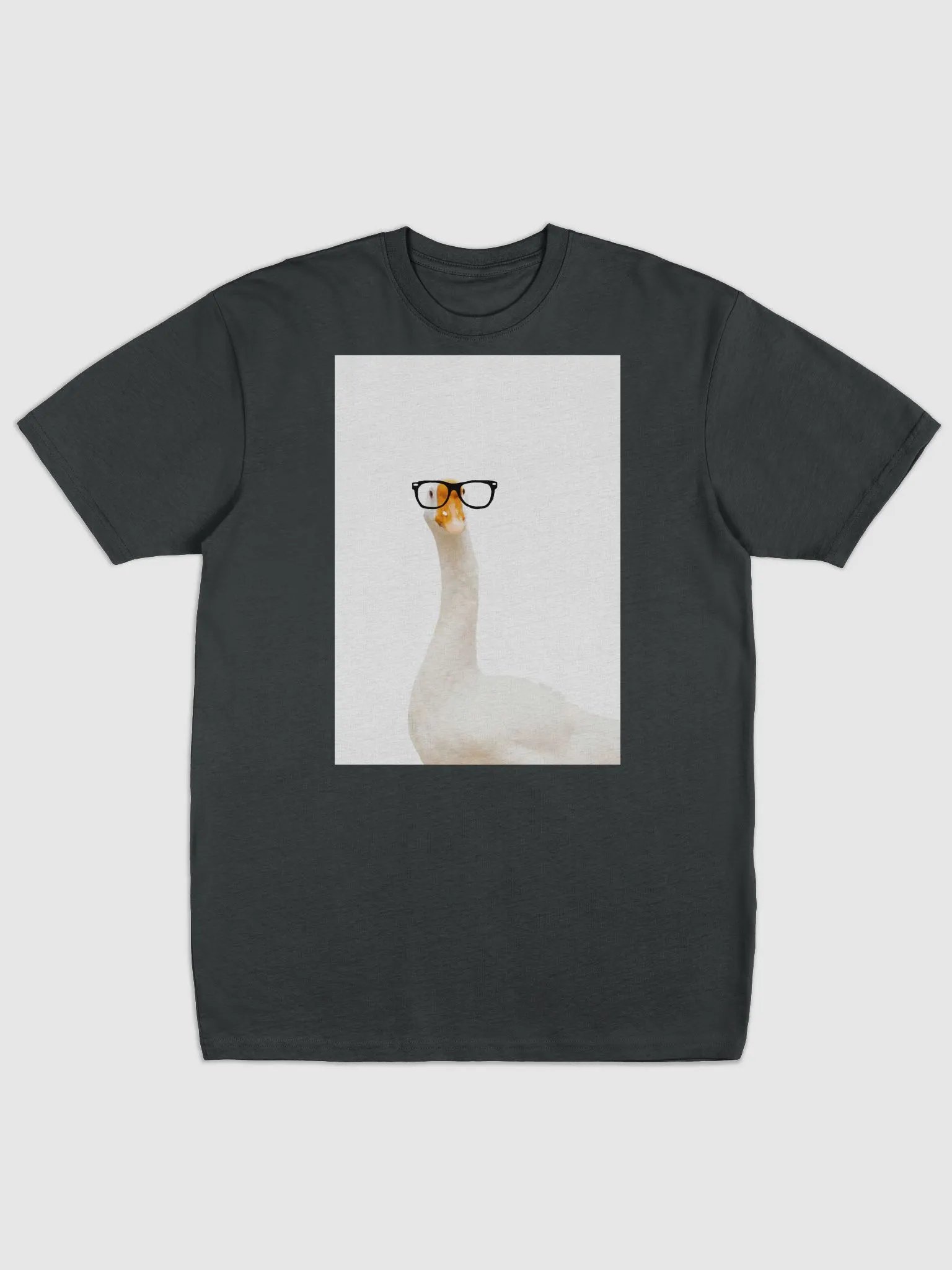 Silly Goose T shir t2 product image (1)