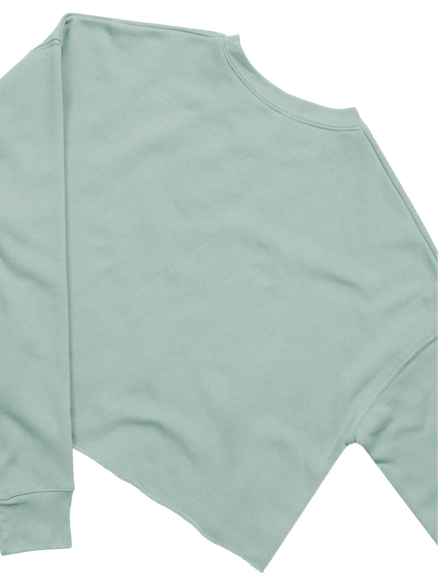 Variety is the Spice of Life - Bella+Canvas Women's Fleece Crop Sweatshirt product image (30)