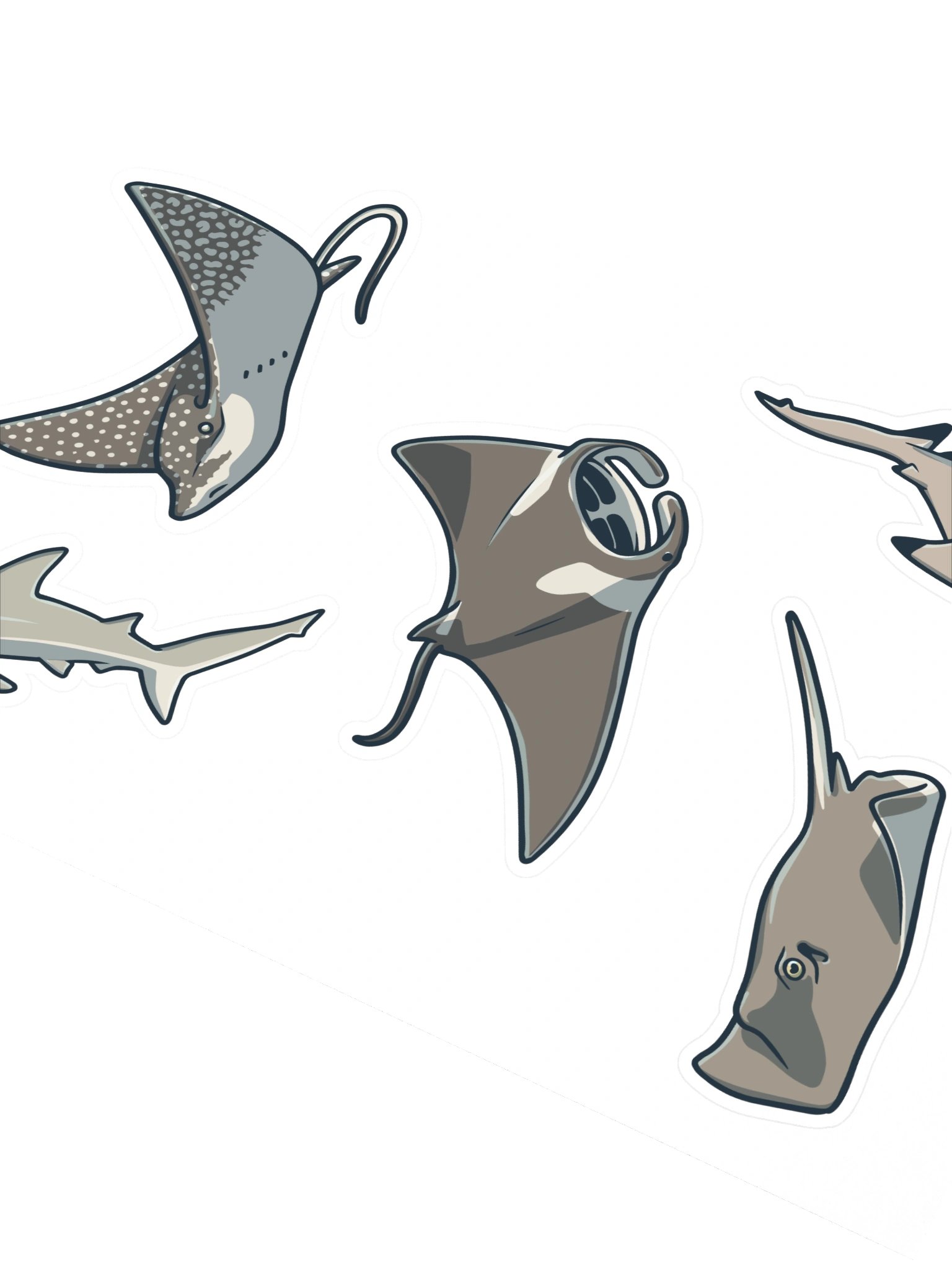 A Shiver of Sharks (and Rays) - Sticker Sheet #3 product image (3)