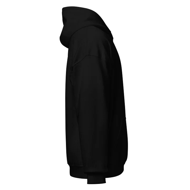PVS-7NL1 Classic Hoodie product image (2)