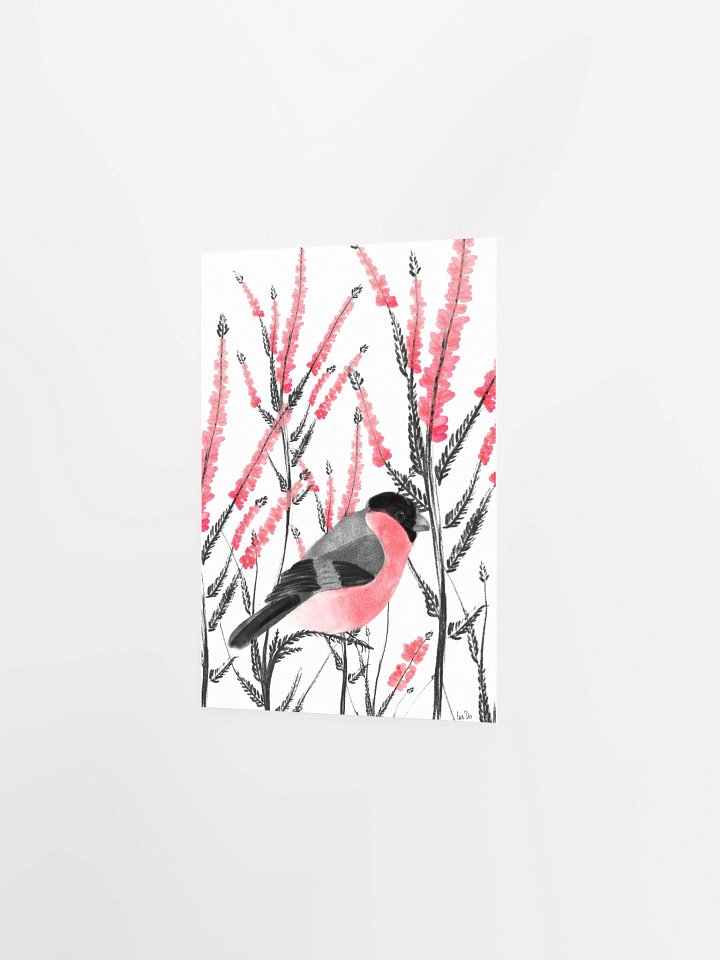 beautiful bullfinch product image (1)
