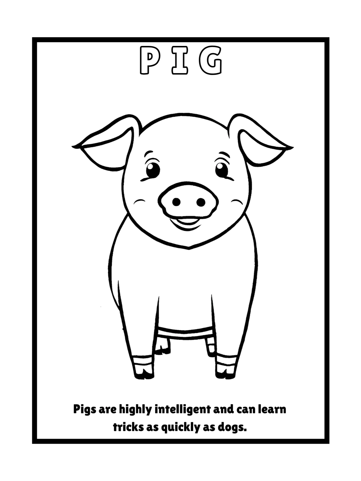 Educational Animals Coloring Pages product image (3)