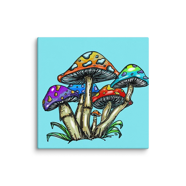 Shrooms Canvas product image (1)