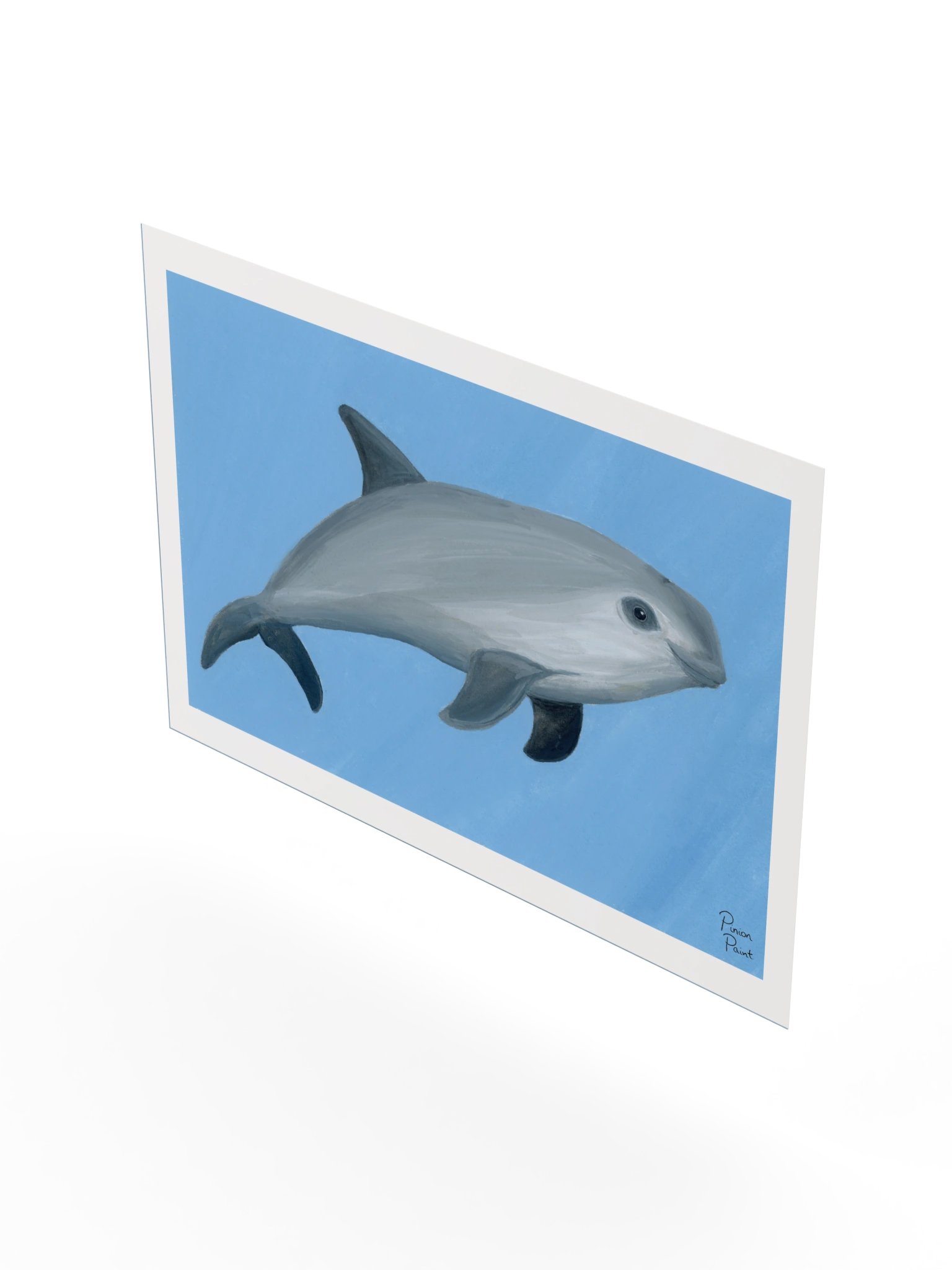 Vaquita print product image (3)