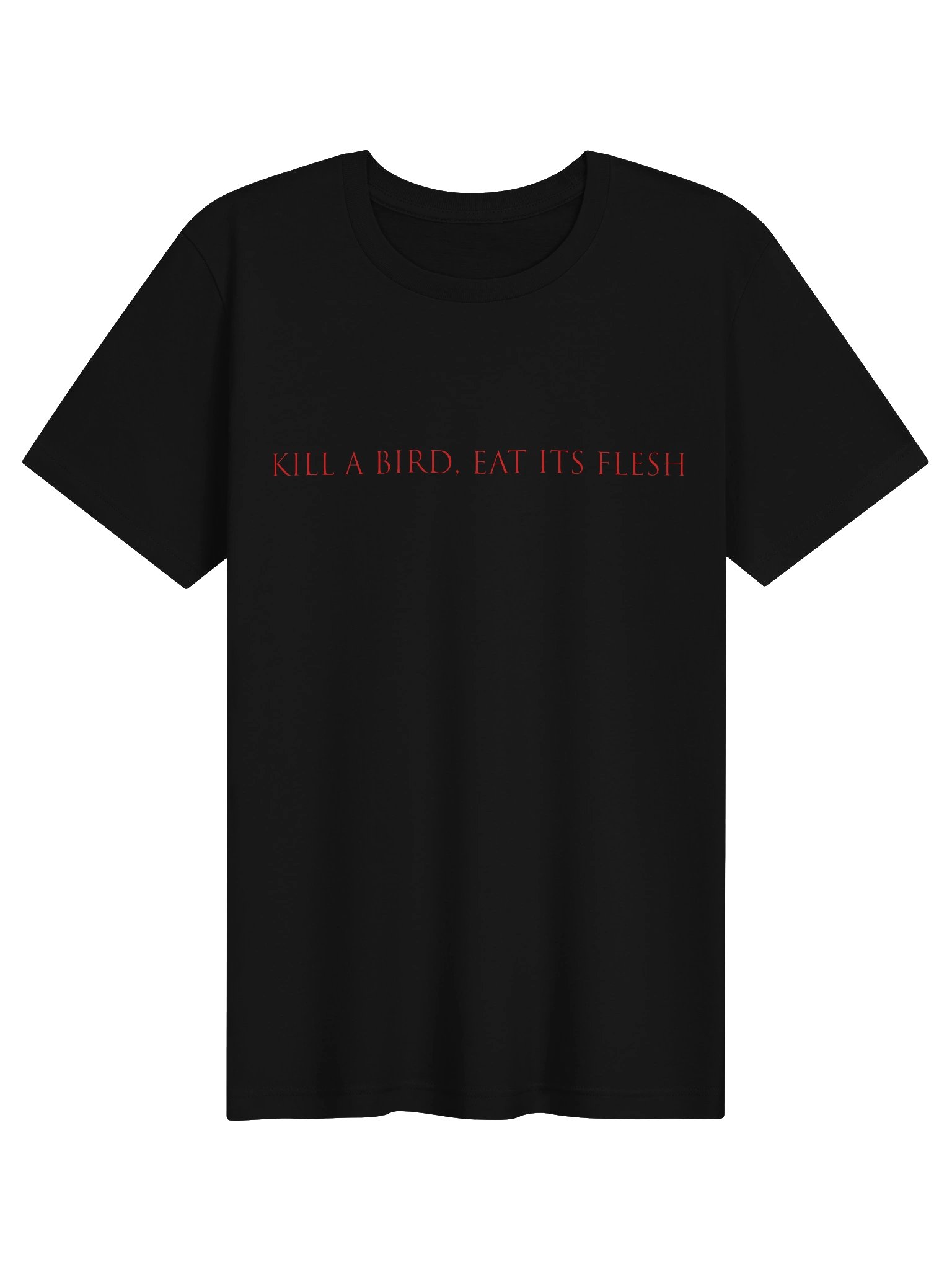 The Proclamation [Kill a bird T-Shirt] product image (1)