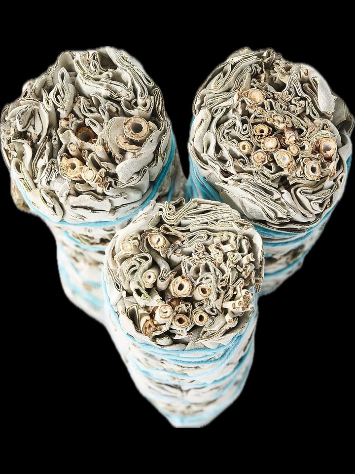 Esura's Jumbo Sage product image (2)