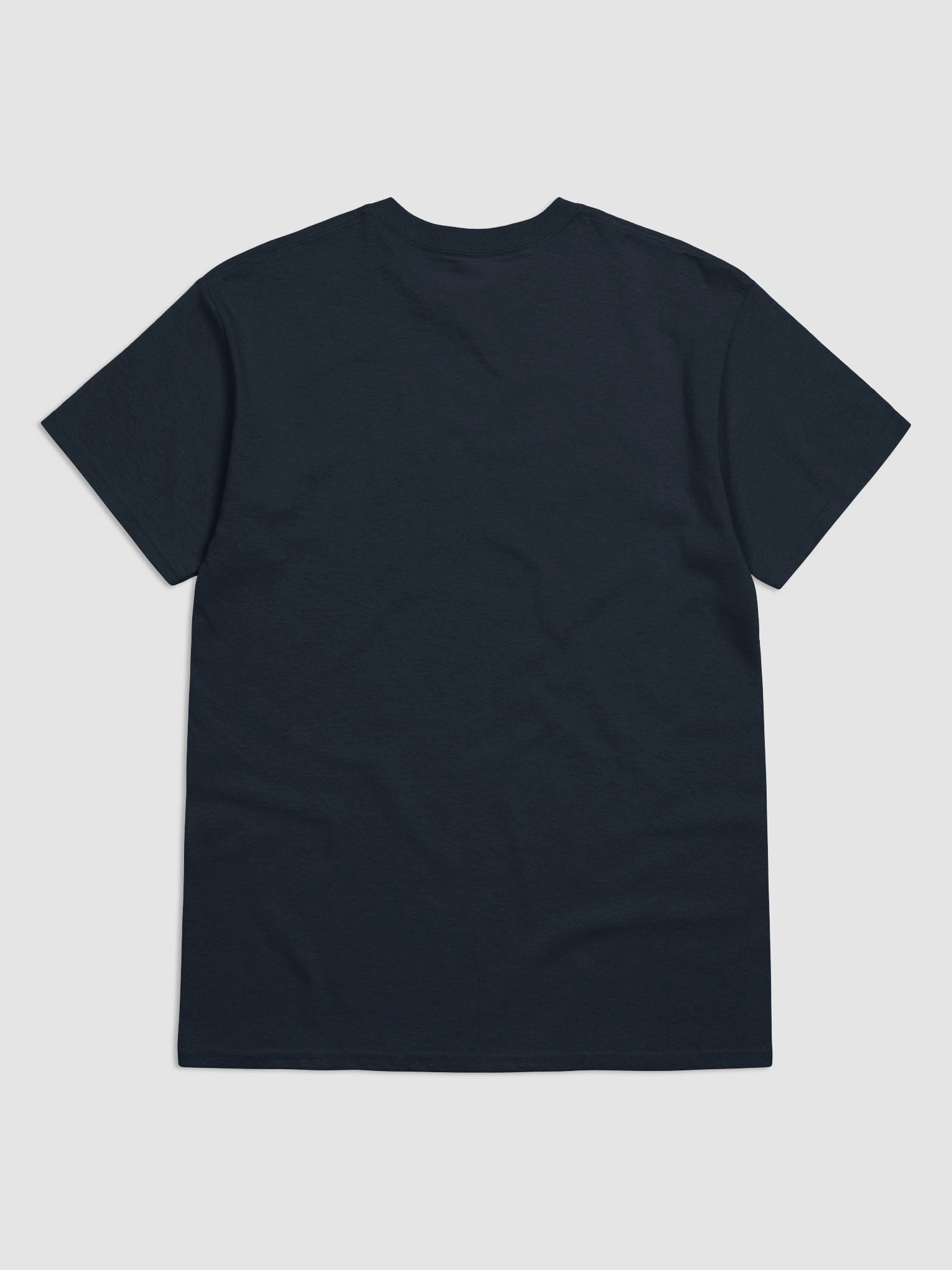 Shipwrecks and Sea Dogs Reverse Logo T-Shirt product image (30)