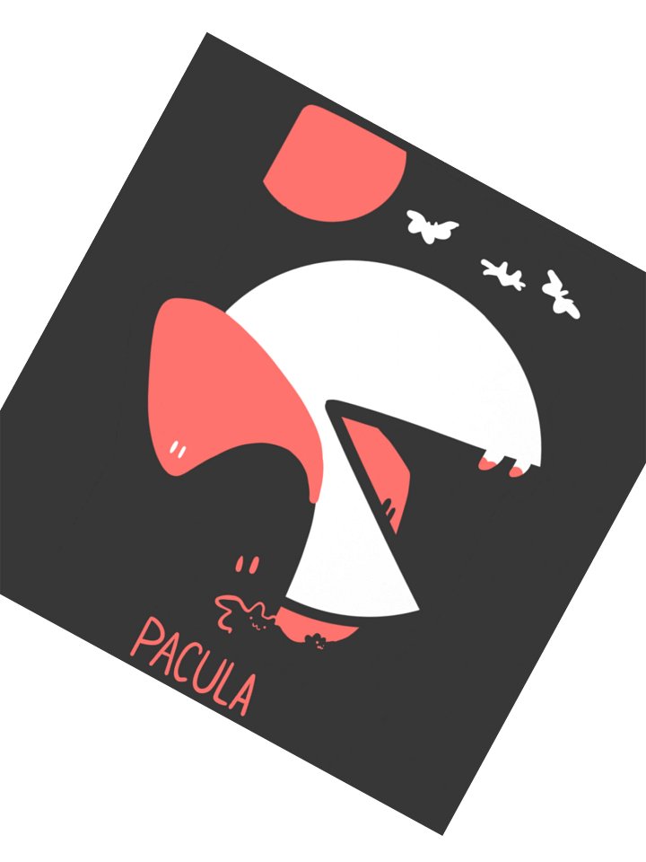 Pacula product image (2)