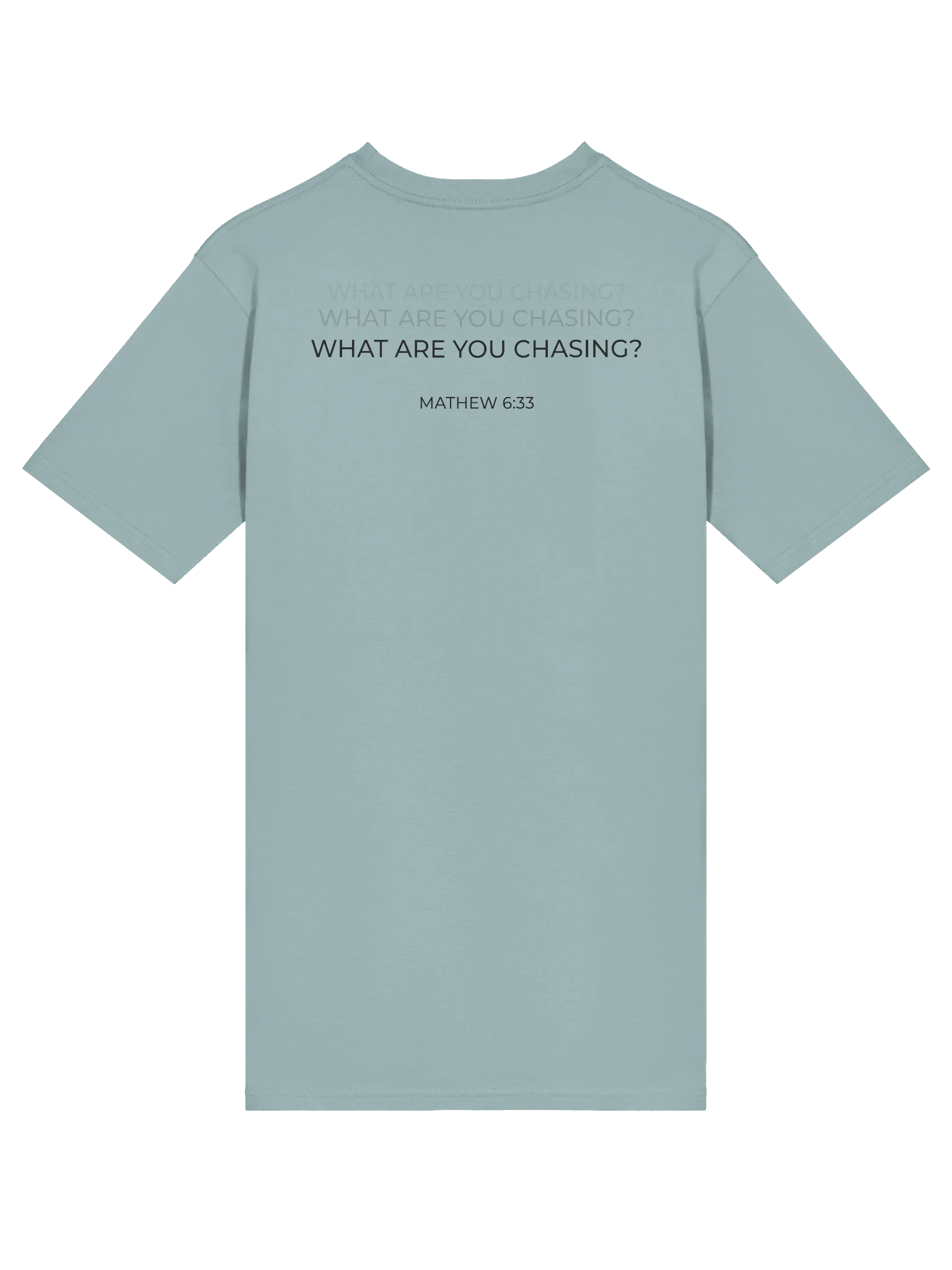 Men's What Are You Chasing? Heavyweight Statement Tee product image (4)