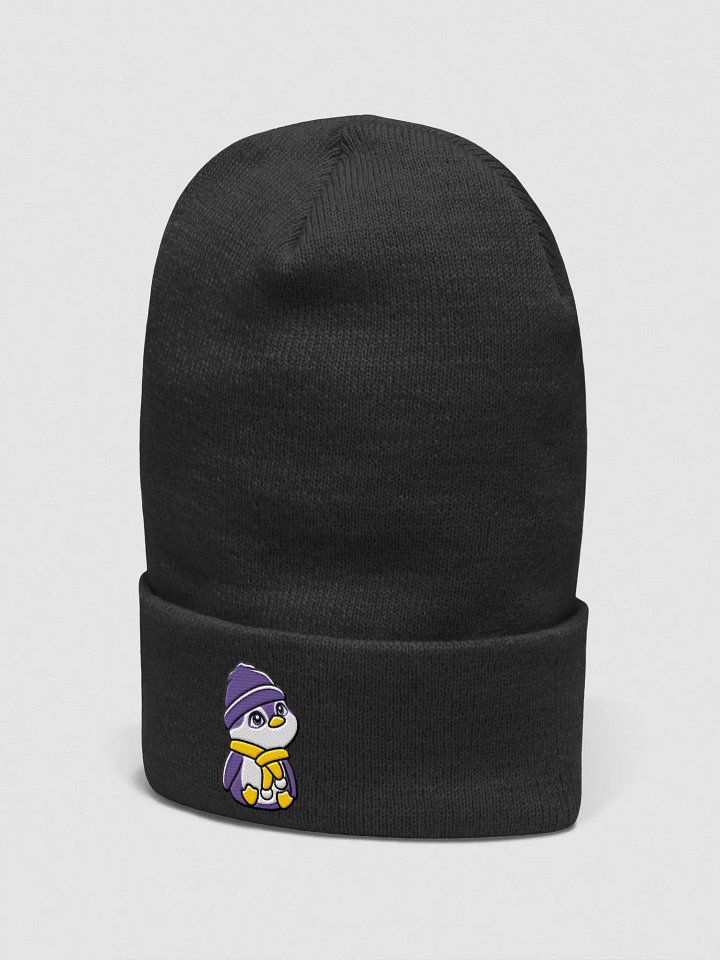 Steve Beanie product image (2)