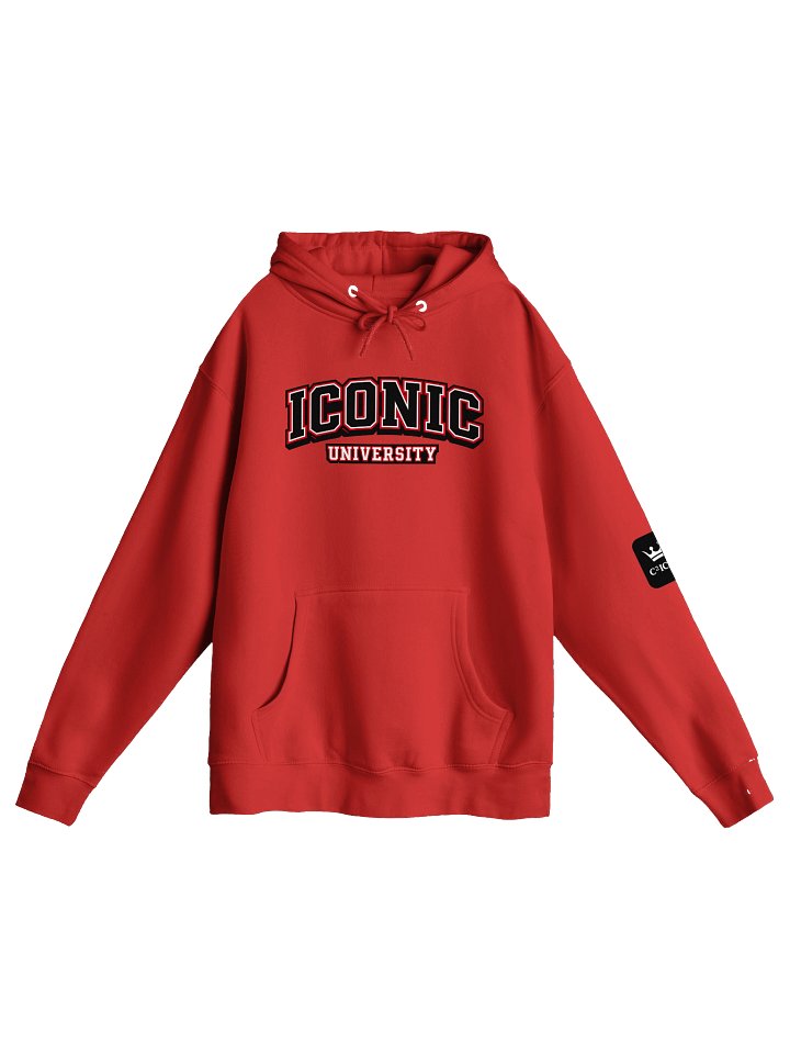 ICONIC University Pullover Hoodie product image (1)