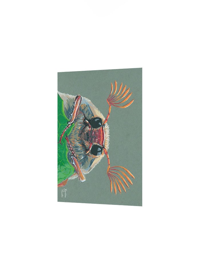 Cockchafer print product image (2)