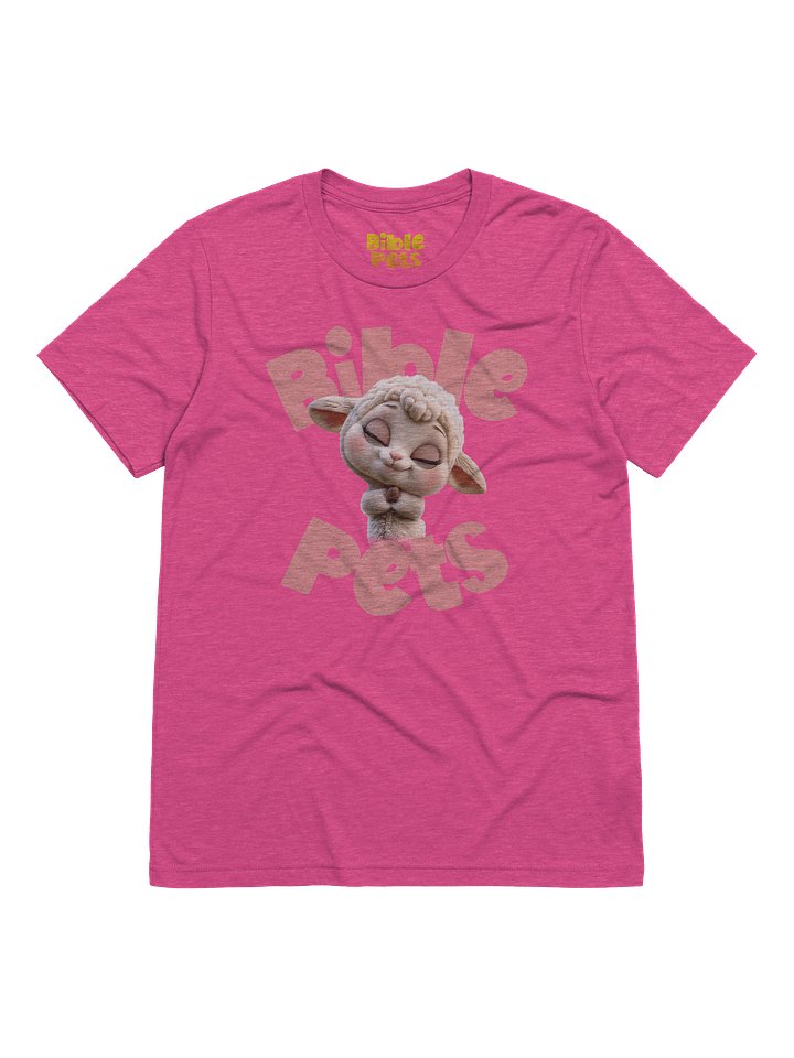 Tabby Praying Adult T-Shirt product image (9)