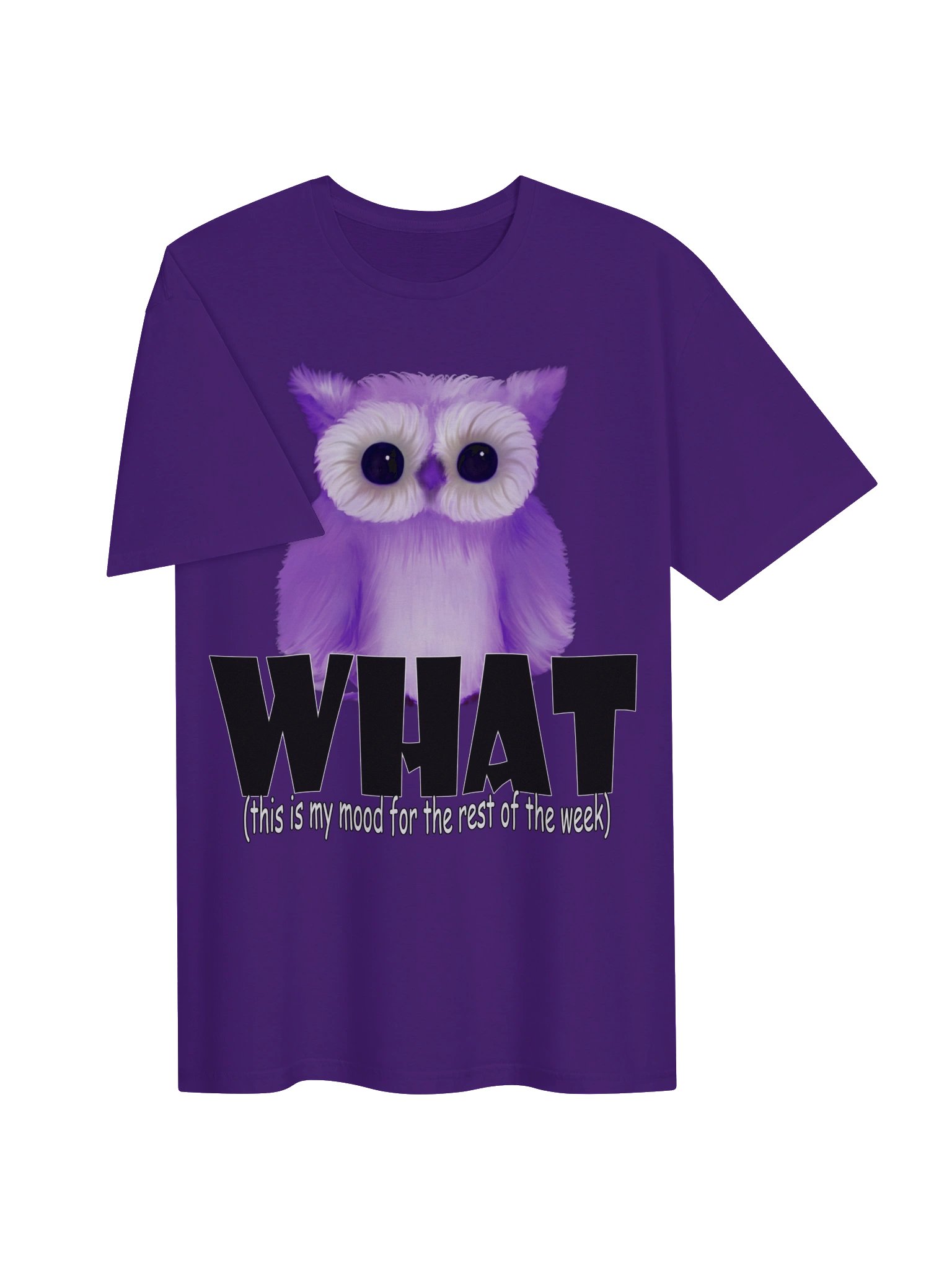 Owl "WHAT" T-Shirt. Unisex Gildan Softstyle T-Shirt product image (2)