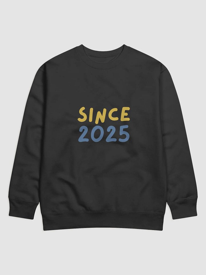 SINCE 2025 Premium Cotton Sweatshirt product image (8)