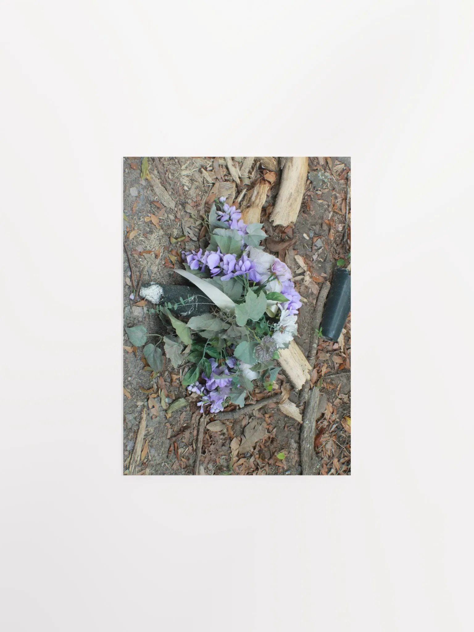 The Cockroach Named Hope product image (3)