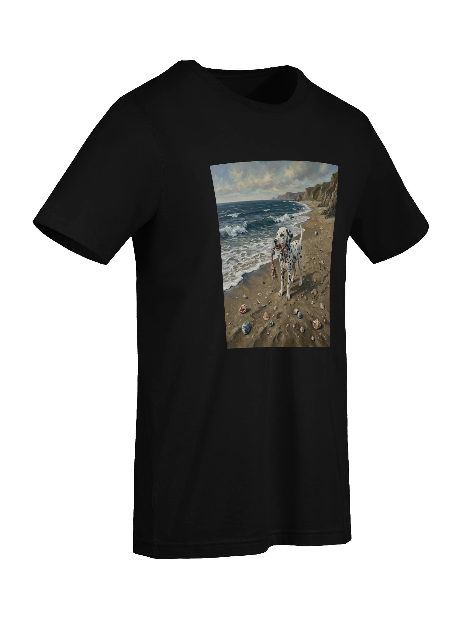 Salt & Harvest Collection | Beach Dalmatian product image (7)