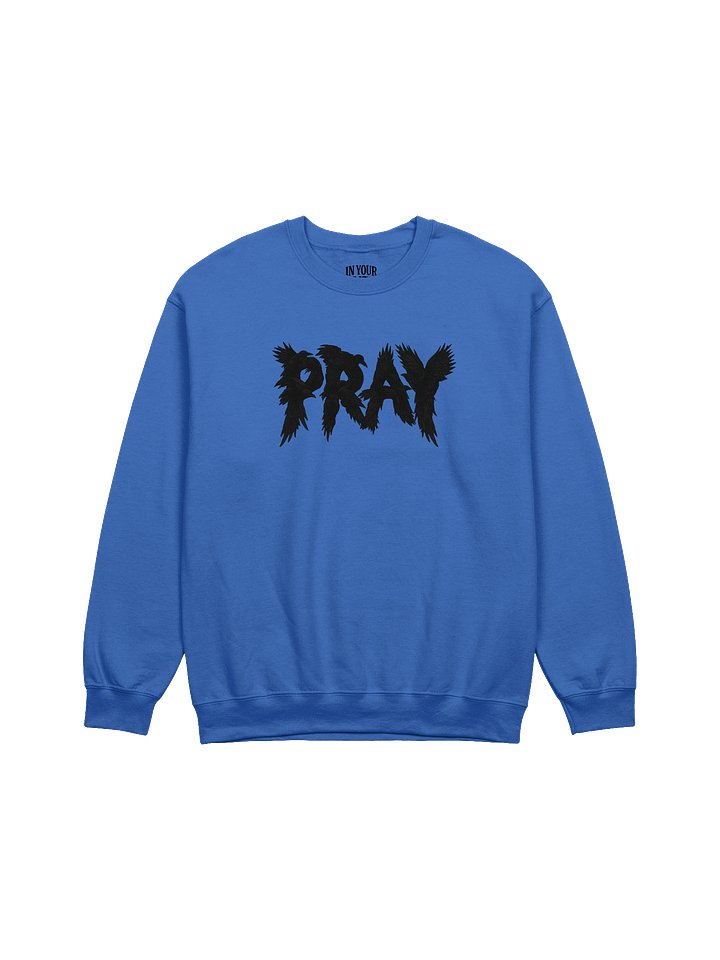 Birds Of Pray Sweatshirt product image (1)