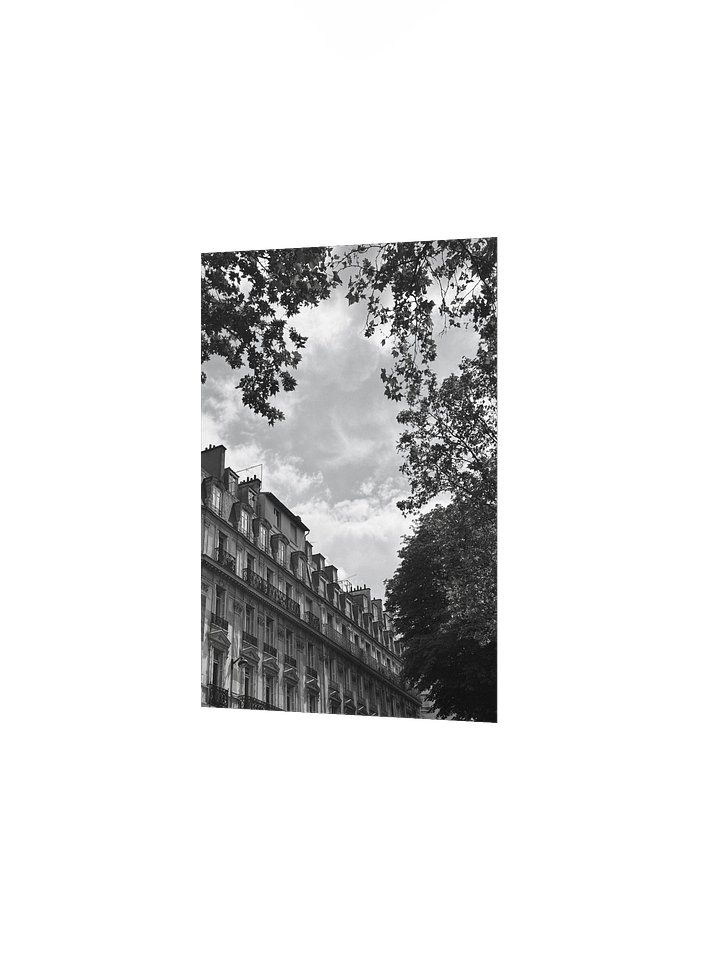 Toits ciel parisien dé-saturé (impression) product image (2)