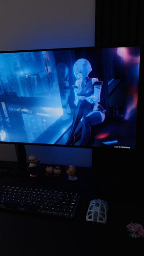 Did you pull for Lucy? 🎮

#wutheringwaves #edgerunners #lucy