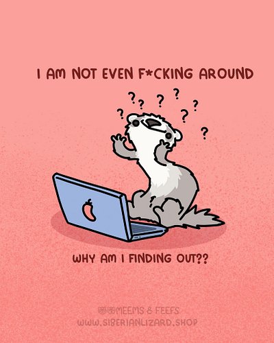 Ok, but how are YOU heading into this weekend? I definitely need a factory reset. 🥲 #ferrets #funny #cute #comics