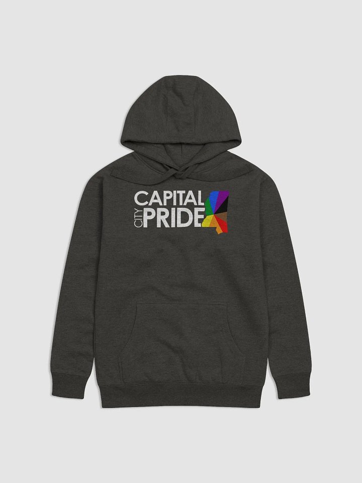 Logo Hoodie product image (1)