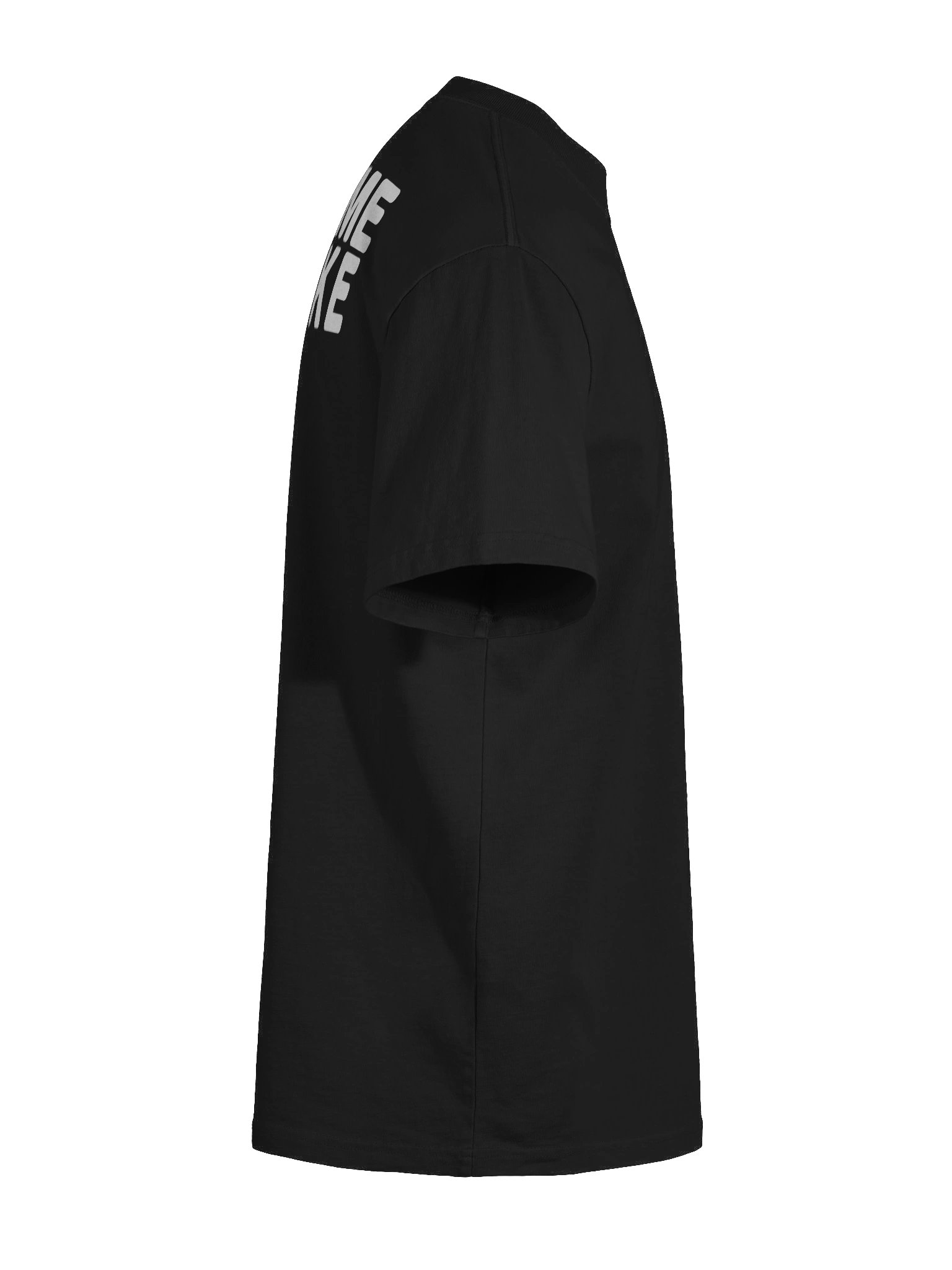 Blame Drake Oversized Tee product image (12)