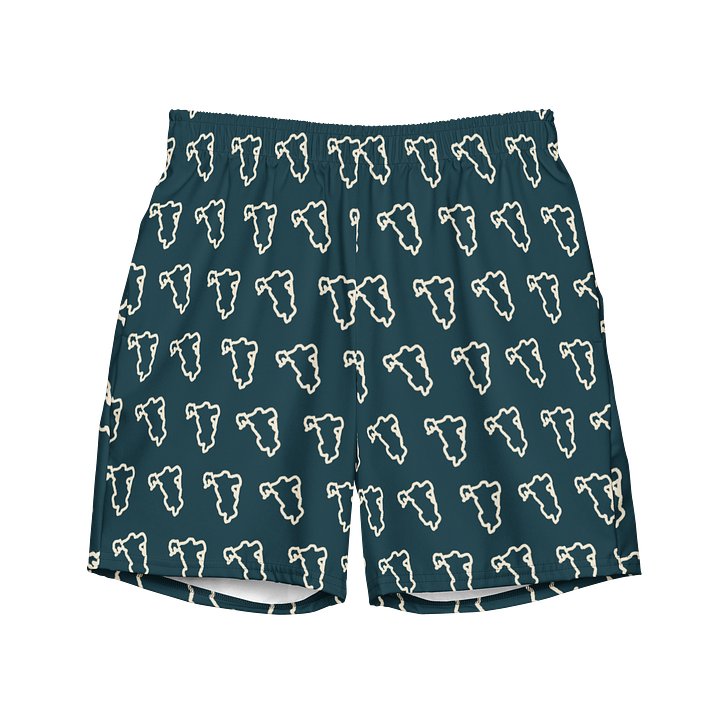 Lake Lines Recycled Swim Trunks