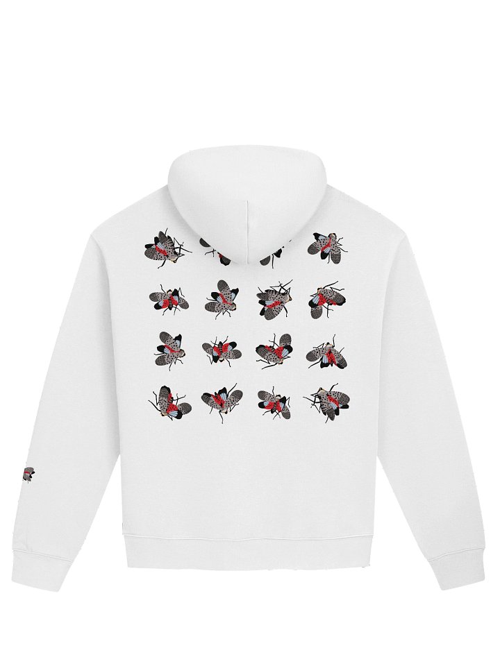 Oversized Hoodie product image (2)