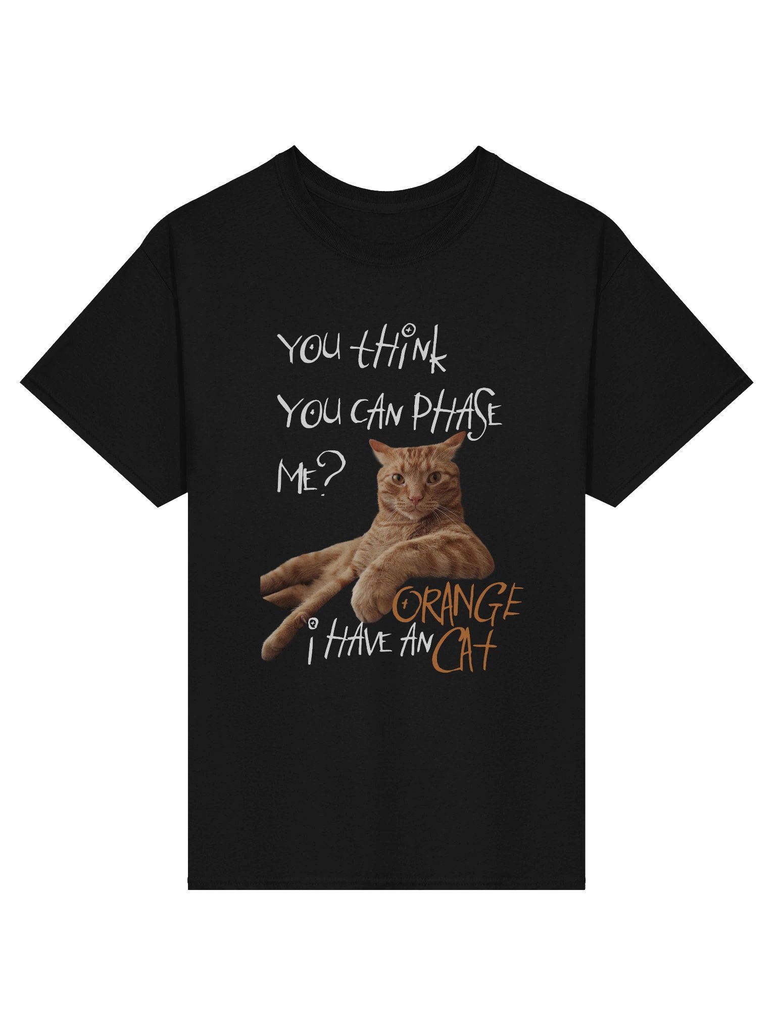 I HAVE AN ORANGE CAT TEE product image (1)