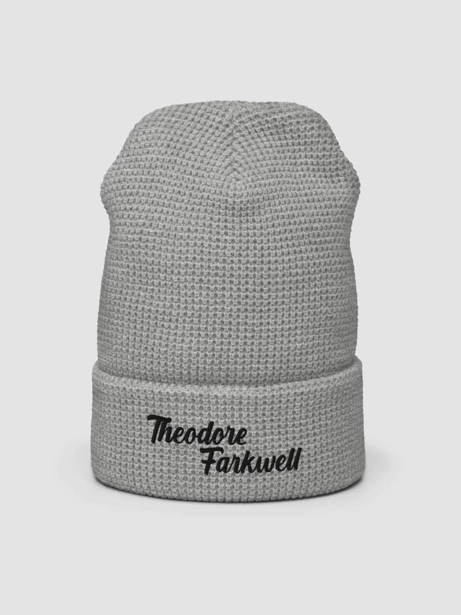 THEODORE FARKWELL BEANIE product image (2)