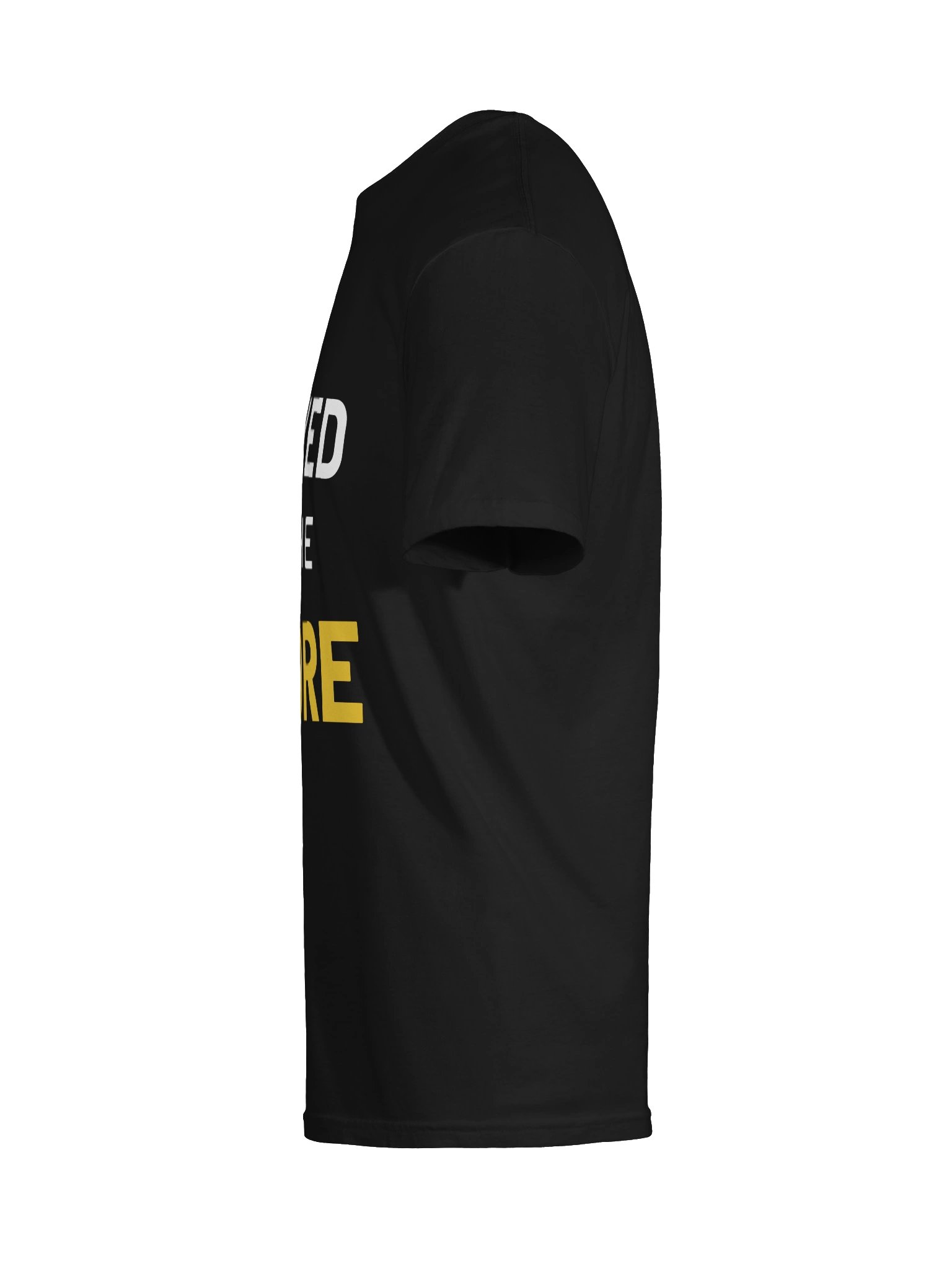 I Stayed for the Encore Tee (Classic) product image (9)