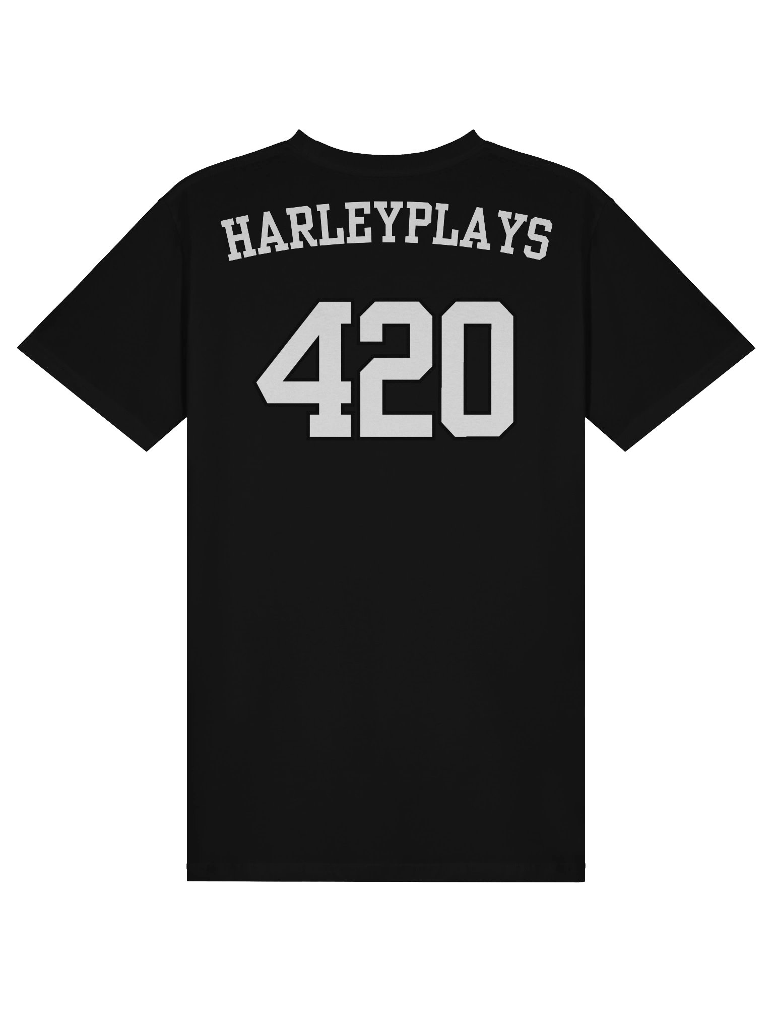 HarleyPlays Stream Team Edition product image (2)