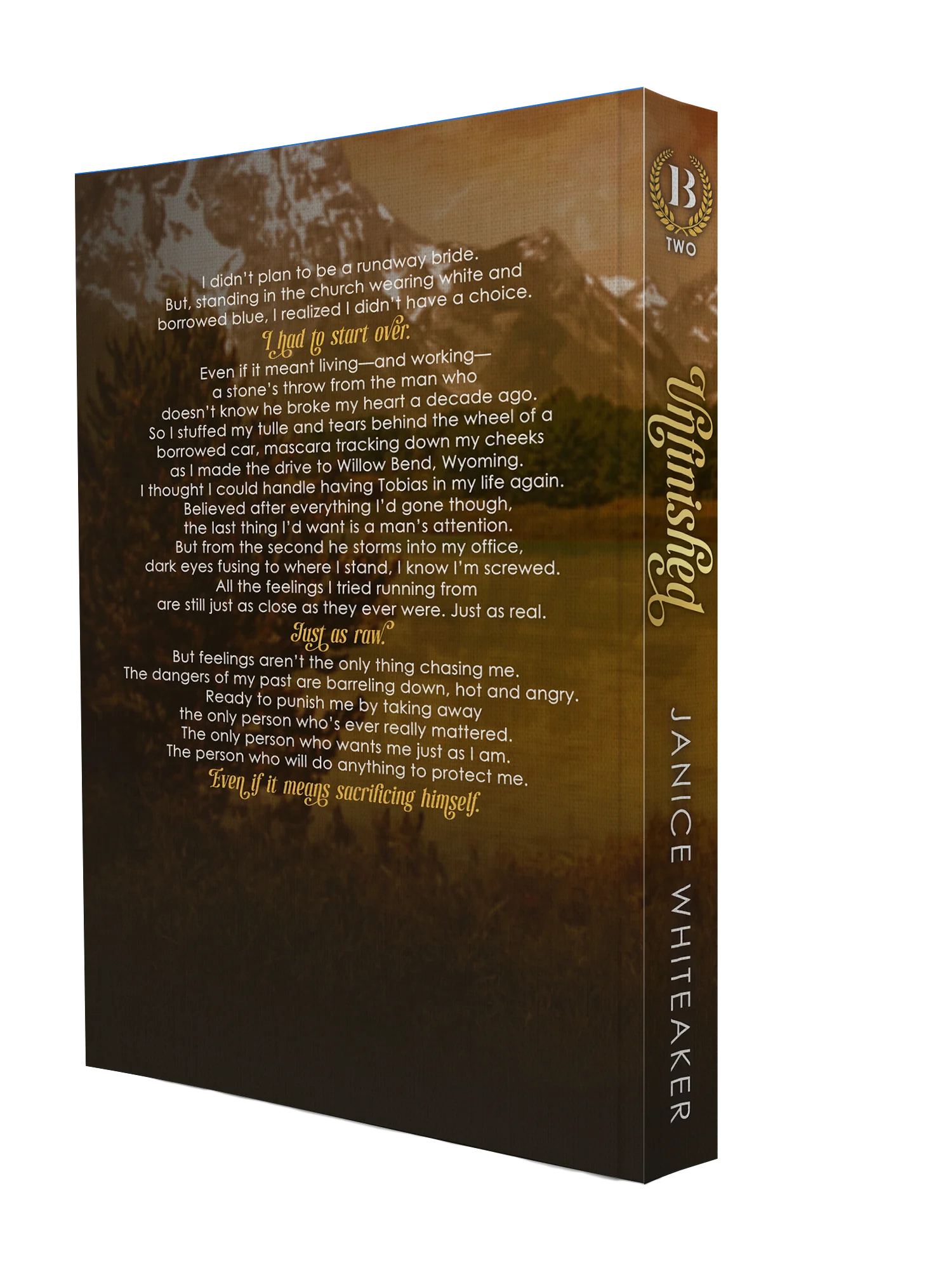 Unfinished Special Edition Paperback product image (2)