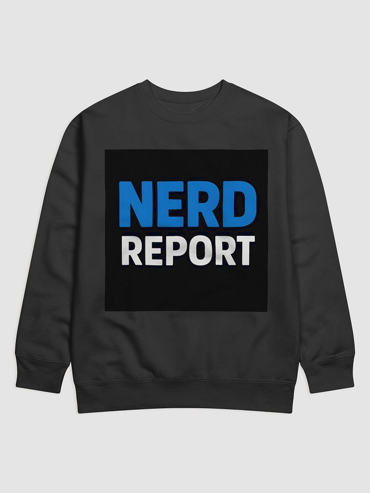 NERD REPORT Bold Block Sweatshirt product image (1)