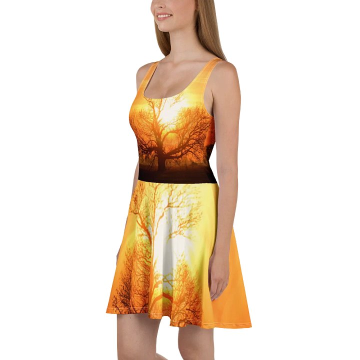 'Moods III' Skater Dress product image (1)