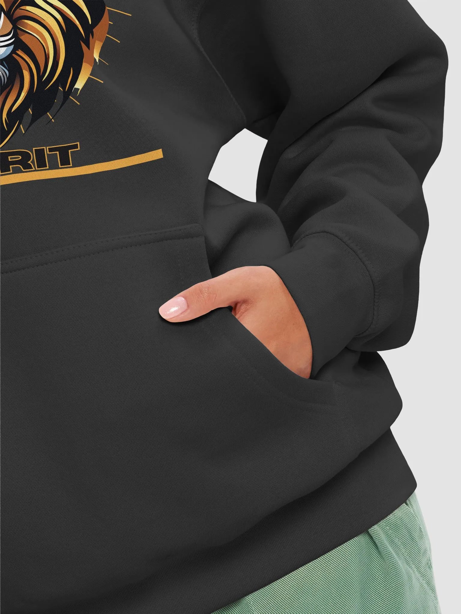 Crowned Lion Unisex Premium Hoodie product image (8)