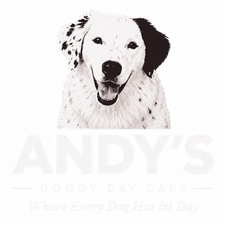 Andy's Doggy Day Care