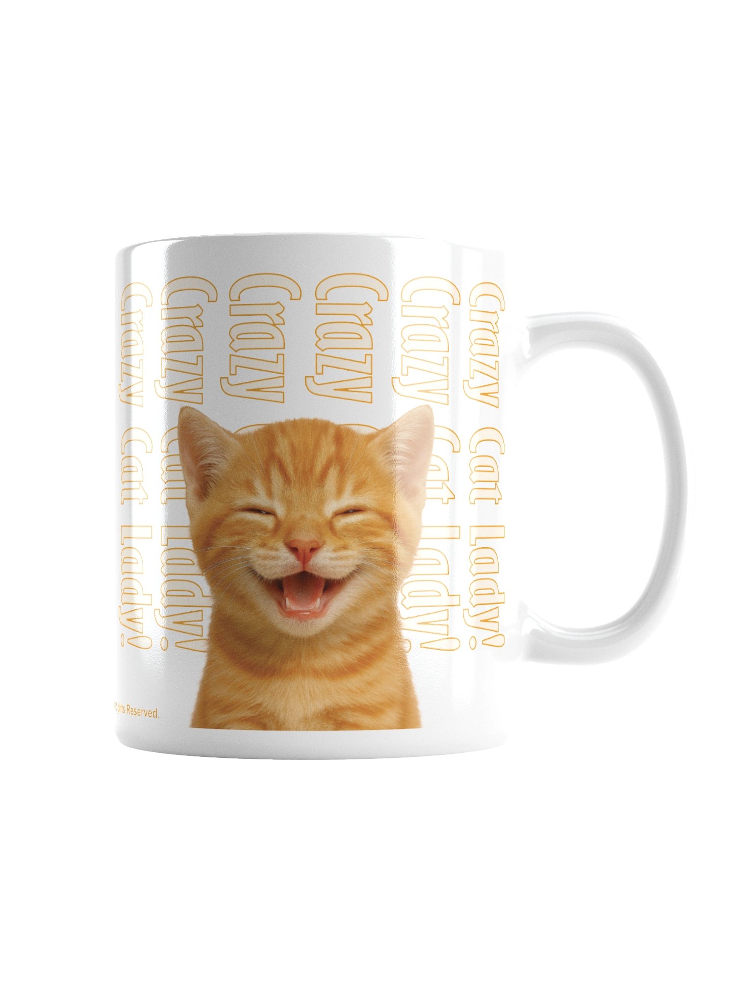 Funny mug says "Crazy Cat Lady! Did I mention Crazy Cat lady?"" product image (2)