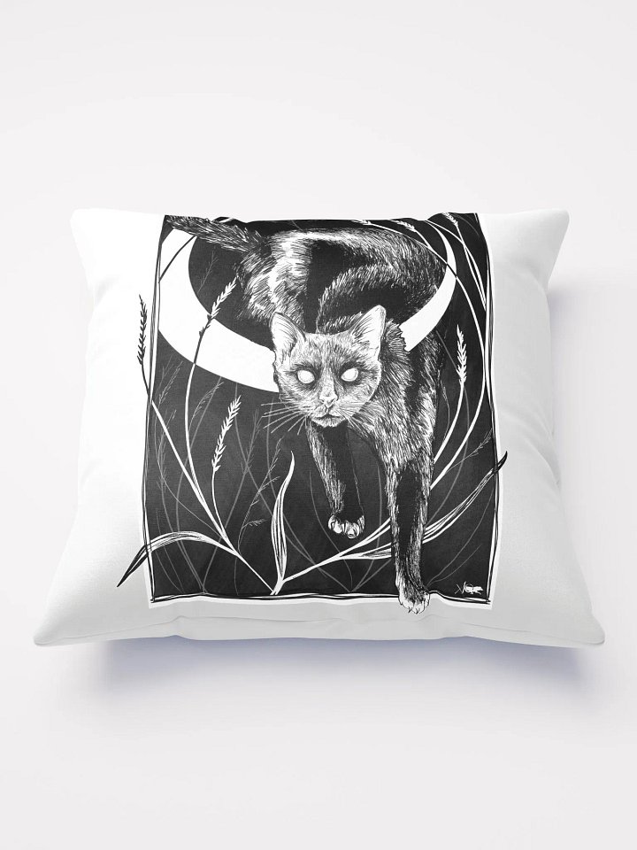 Bad Luck Pillow product image (1)