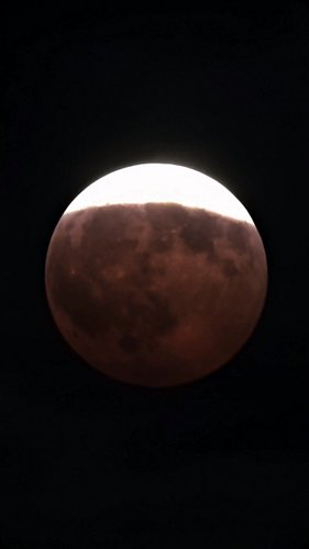 Lunar Eclipse through the clouds 🔭 (timelapse) #seestar #seestars50 #zwo #telescope #eclipse