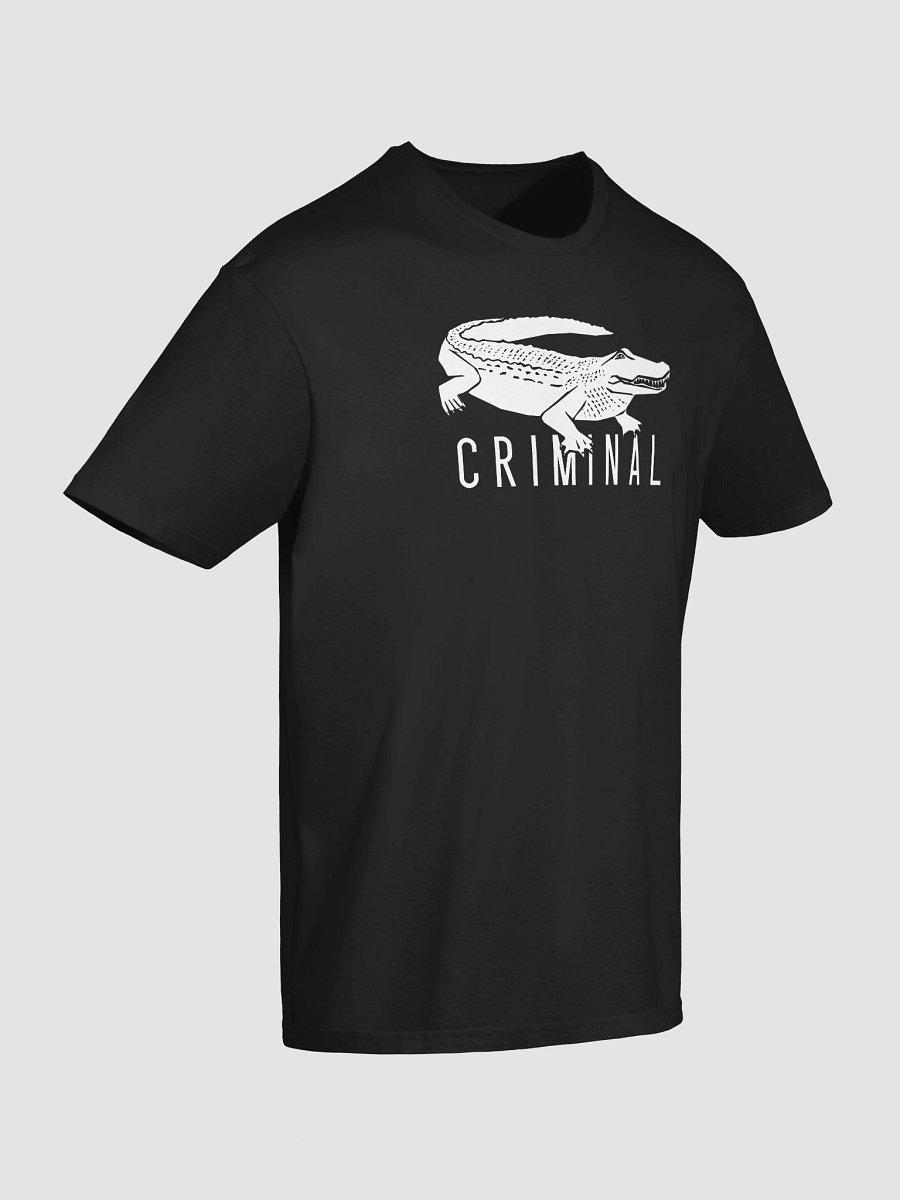 Criminal 10th Anniversary Tour T-shirt product image (10)