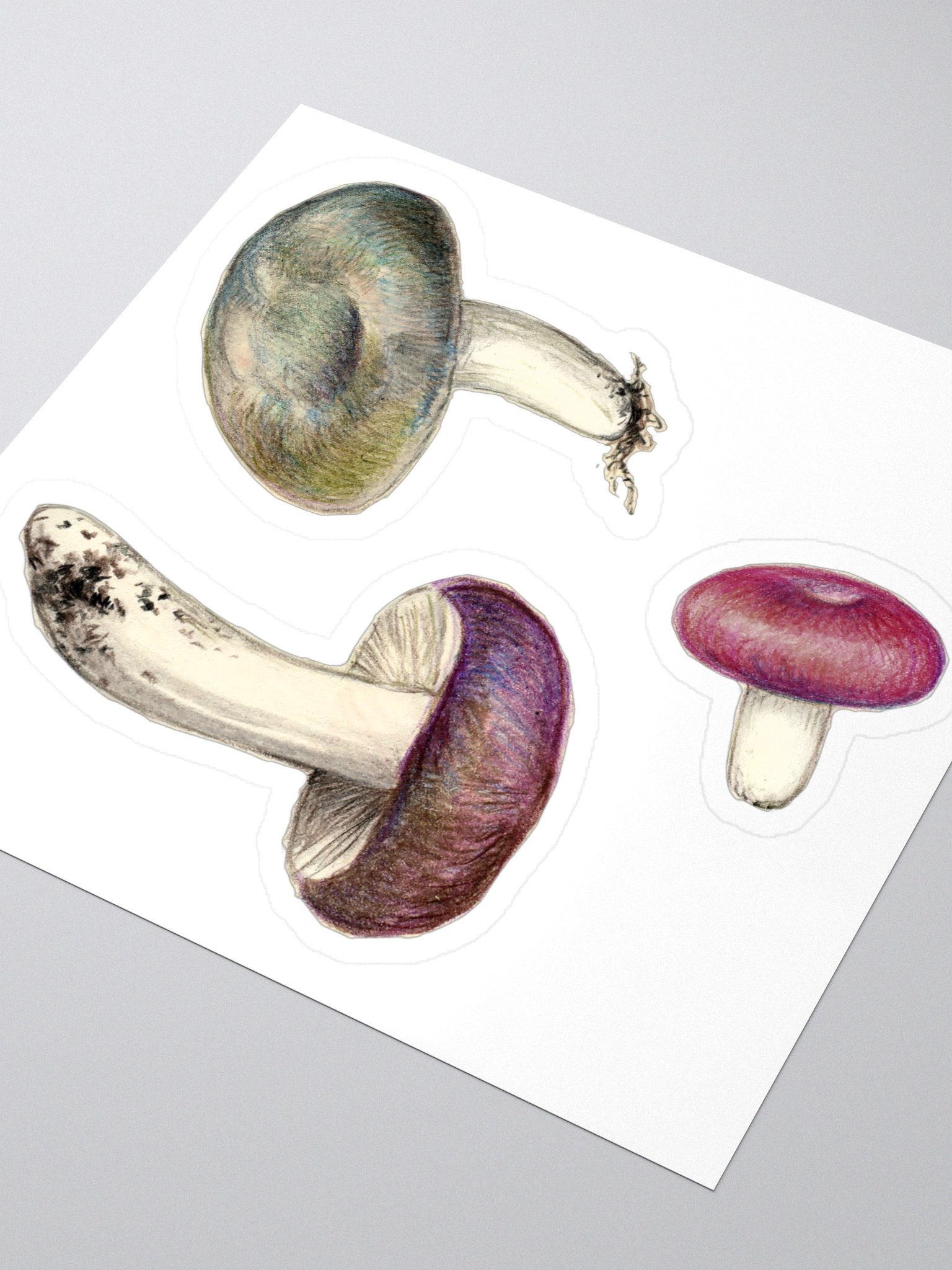 Russula mushrooms stickers product image (2)